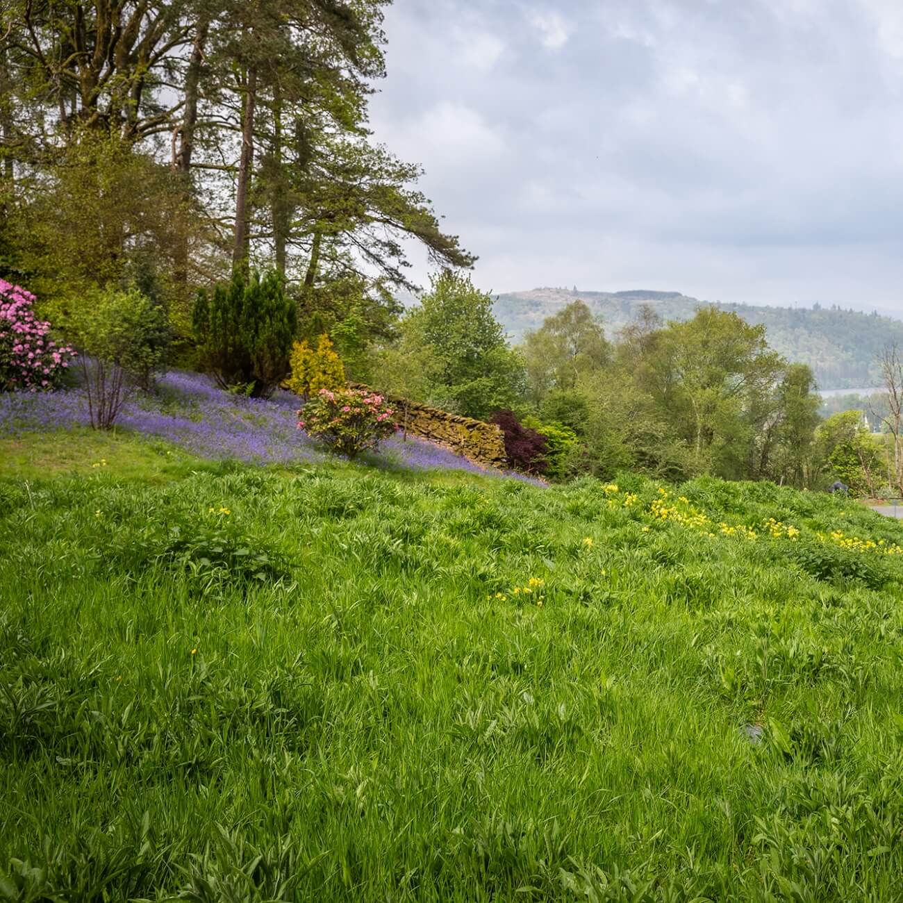 67c968775d3a7-Linthwaite Weddings - Vinea & Marcel (6)@2x